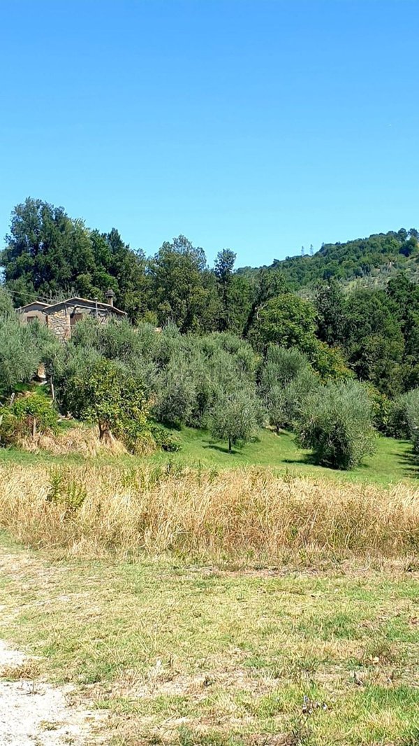 casale in vendita a Ficulle
