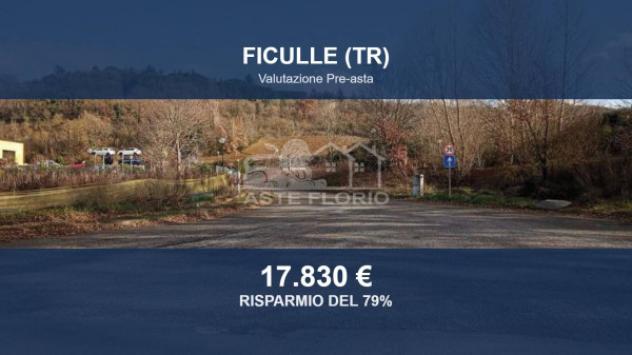 terreno agricolo in vendita a Ficulle