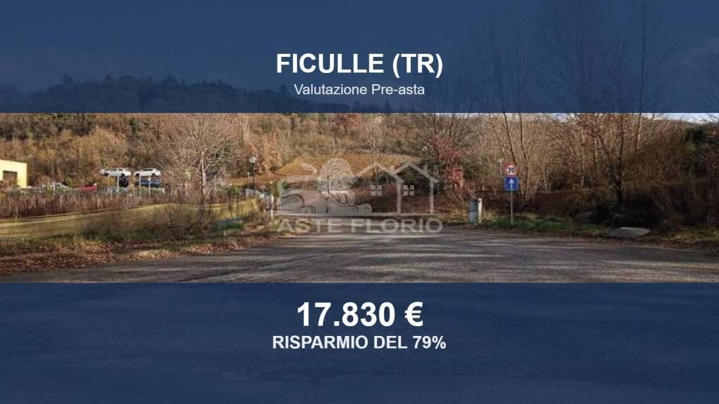 terreno agricolo in vendita a Ficulle