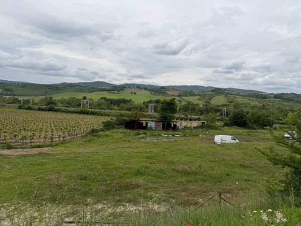 terreno agricolo in vendita a Ficulle