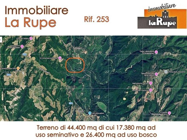 terreno agricolo in vendita a Ficulle