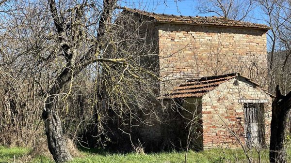 casa indipendente in vendita a Ficulle