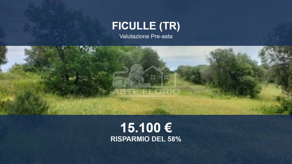 terreno agricolo in vendita a Ficulle