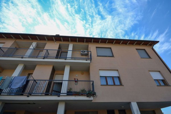 appartamento in vendita a Ficulle