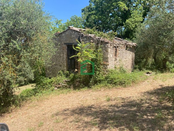 appartamento in vendita a Giove