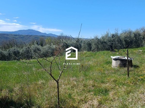 terreno agricolo in vendita a Giove