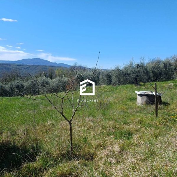 terreno agricolo in vendita a Giove