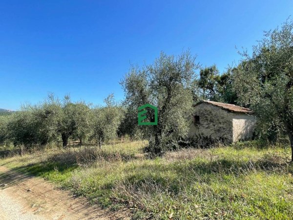 terreno agricolo in vendita a Giove