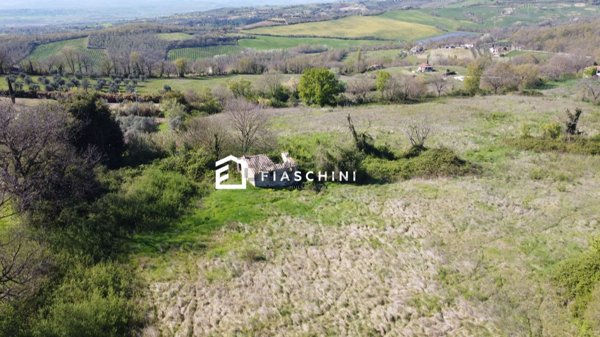 pentavano in vendita a Giove