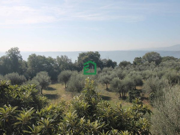 casa indipendente in vendita a Giove