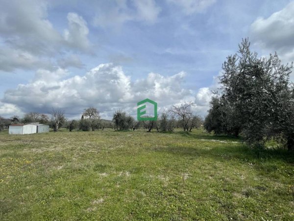 locale commerciale in vendita a Giove