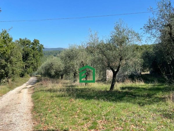 locale commerciale in vendita a Giove