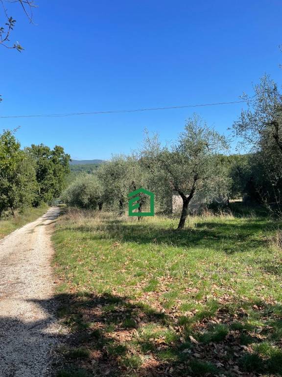 locale commerciale in vendita a Giove