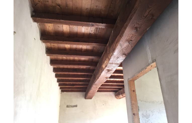 negozio in vendita a Giove