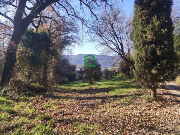 terreno agricolo in vendita a Giove
