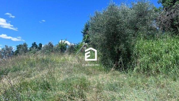 terreno agricolo in vendita a Giove