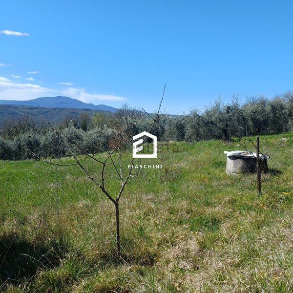 villa in vendita a Giove