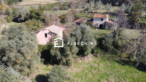 esavano in vendita a Giove