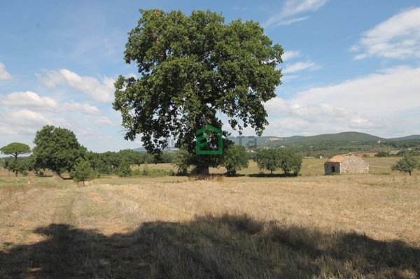 appartamento in vendita a Giove