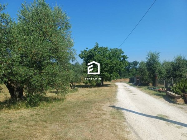 terreno agricolo in vendita a Giove