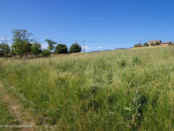 terreno agricolo in vendita a Guardea in zona Madonna del Porto