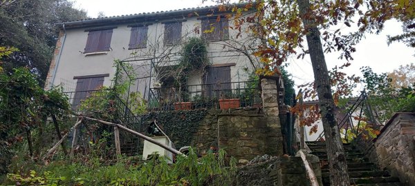 appartamento in vendita a Guardea