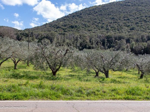 terreno agricolo in vendita a Guardea
