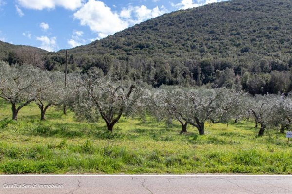 terreno agricolo in vendita a Guardea