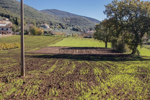 terreno edificabile in vendita a Guardea in zona Cocciano