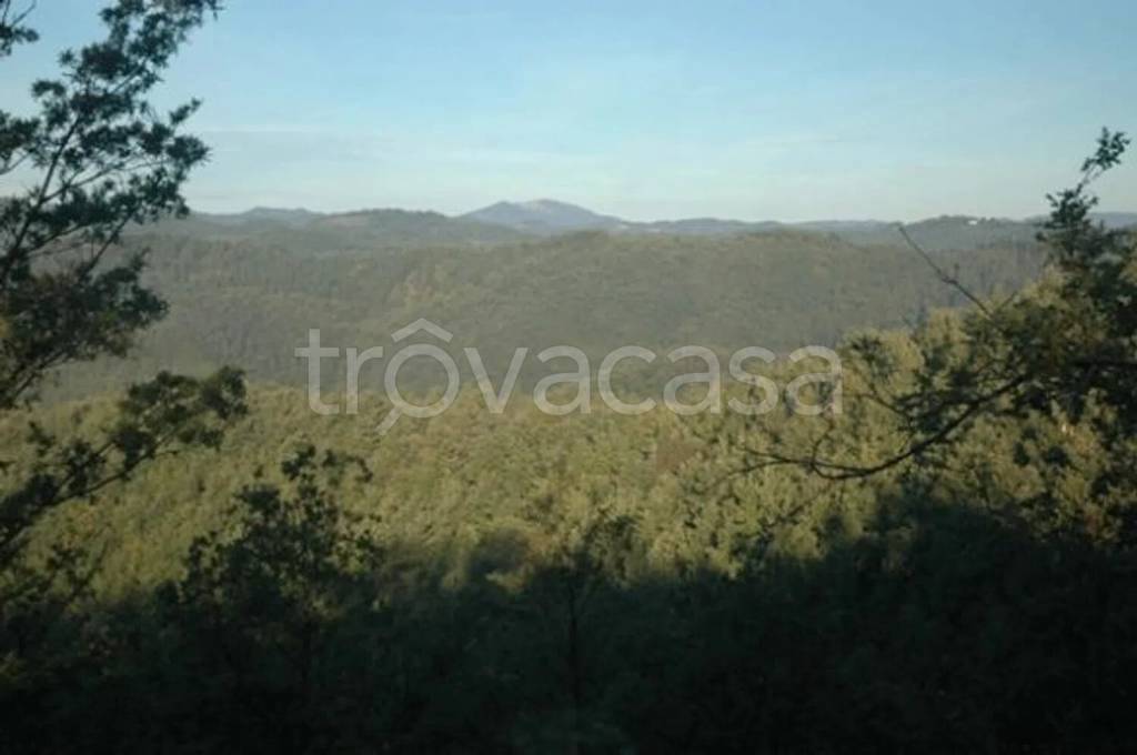 terreno agricolo in vendita a Guardea in zona Frattuccia