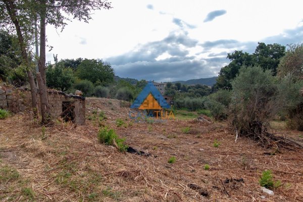 casa indipendente in vendita a Guardea