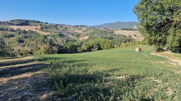 terreno agricolo in vendita a Lugnano in Teverina