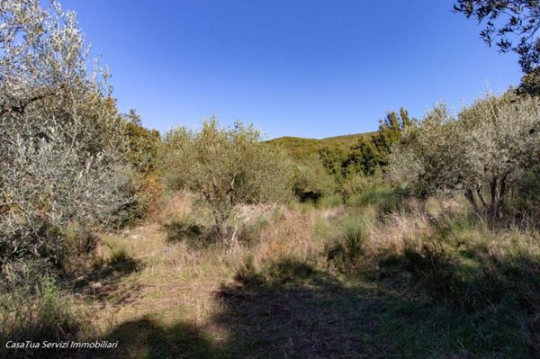 terreno agricolo in vendita a Lugnano in Teverina