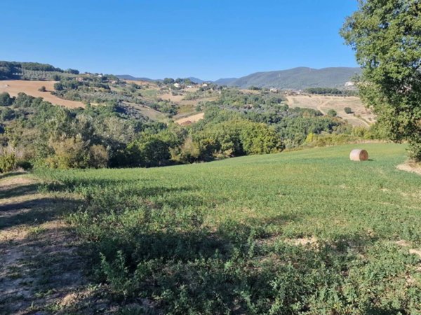 terreno agricolo in vendita a Lugnano in Teverina