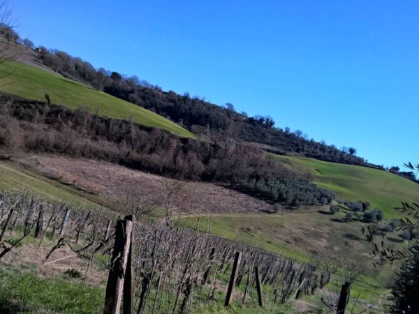 terreno agricolo in vendita a Lugnano in Teverina