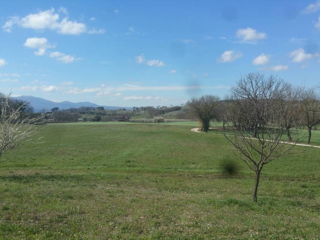 terreno agricolo in vendita a Lugnano in Teverina