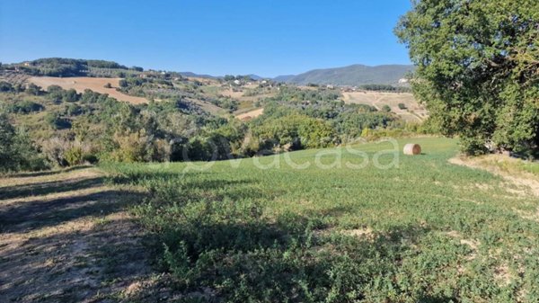 terreno agricolo in vendita a Lugnano in Teverina