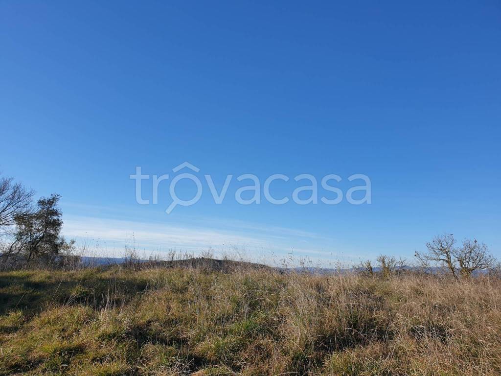 terreno agricolo in vendita a Lugnano in Teverina