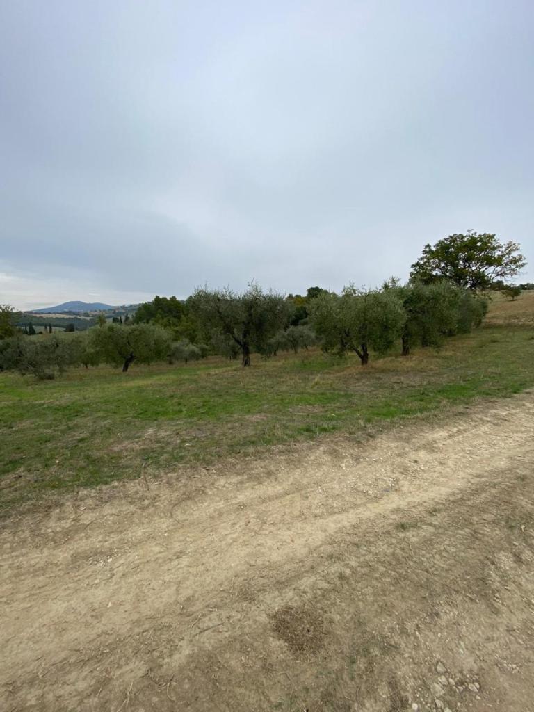 terreno agricolo in vendita a Lugnano in Teverina