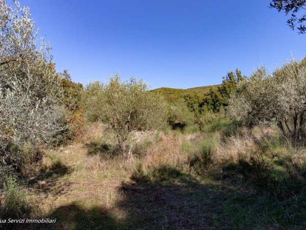 terreno agricolo in vendita a Lugnano in Teverina