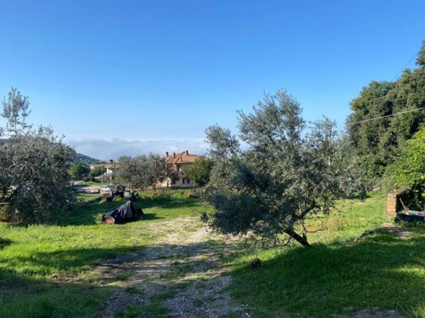 terreno agricolo in vendita a Lugnano in Teverina