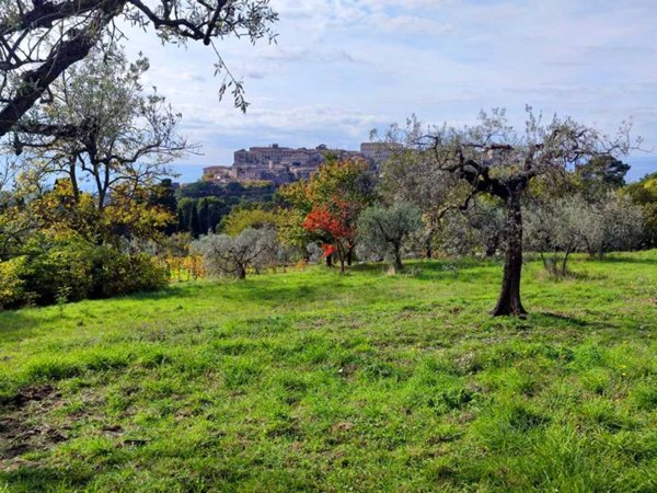 villa in vendita a Lugnano in Teverina