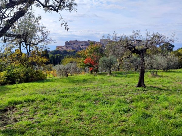 villa in vendita a Lugnano in Teverina