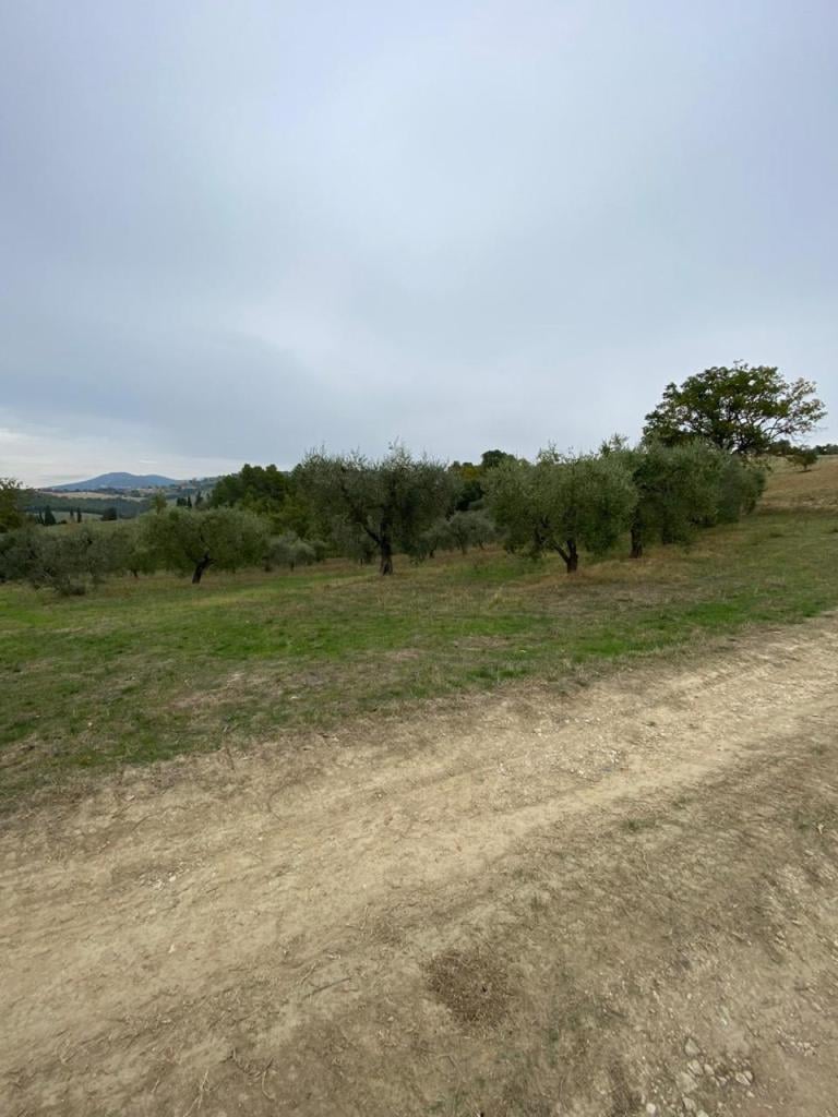 appartamento in vendita a Lugnano in Teverina