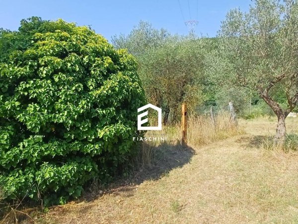 terreno agricolo in vendita a Lugnano in Teverina