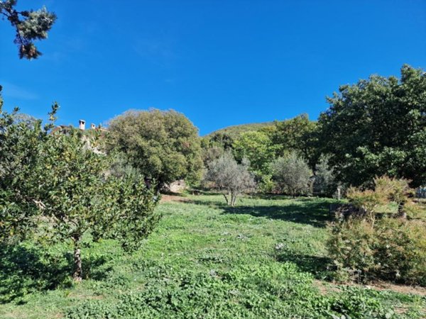 terreno edificabile in vendita a Lugnano in Teverina