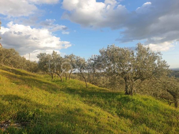 terreno agricolo in vendita a Lugnano in Teverina