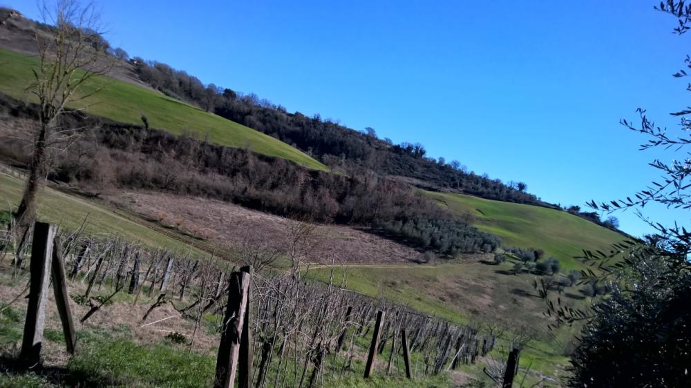 terreno agricolo in vendita a Lugnano in Teverina