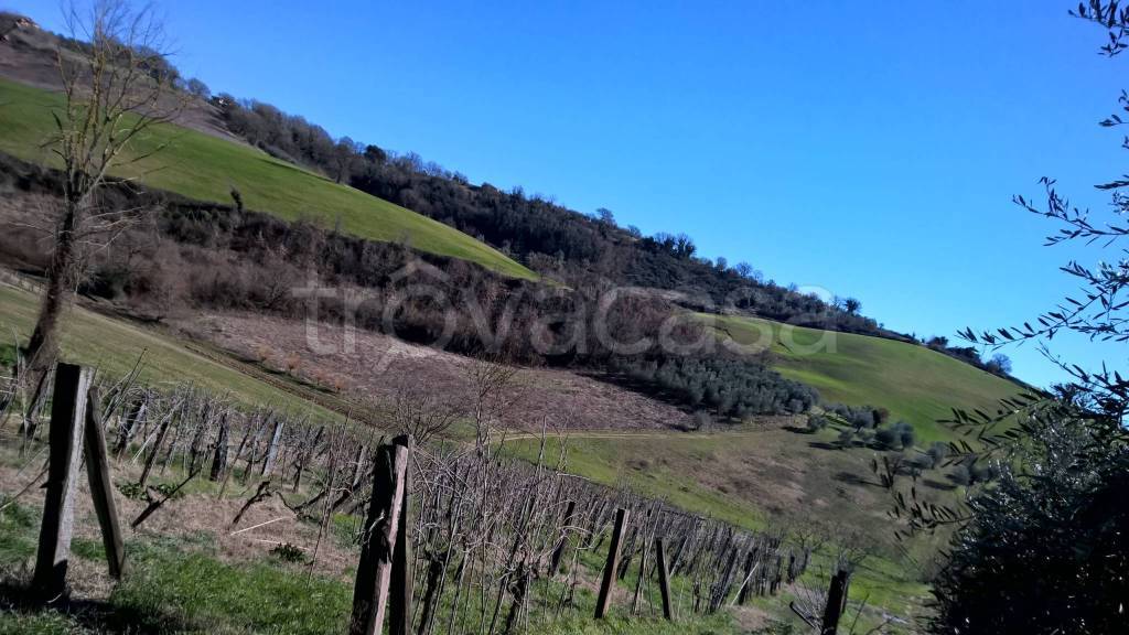 terreno agricolo in vendita a Lugnano in Teverina