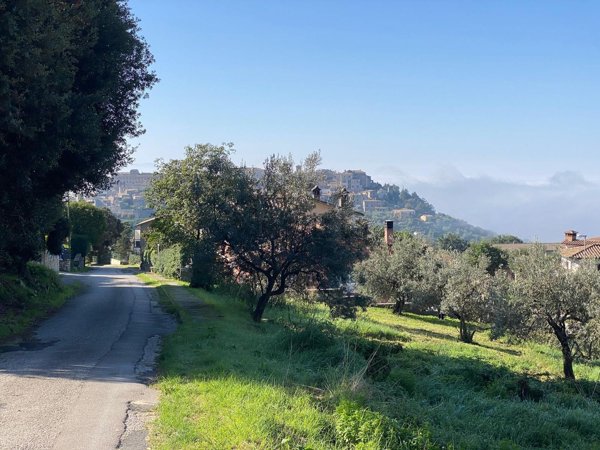 terreno edificabile in vendita a Lugnano in Teverina